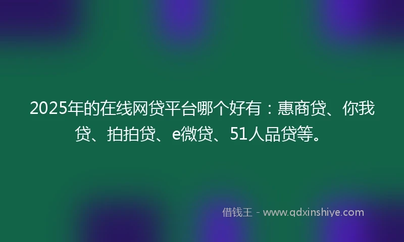 2025年的在线网贷平台哪个好有：惠商贷、你我贷、拍拍贷、e微贷、51人品贷等。
