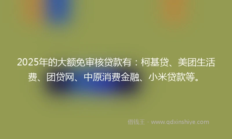 2025年的大额免审核贷款有：柯基贷、美团生活费、团贷网、中原消费金融、小米贷款等。