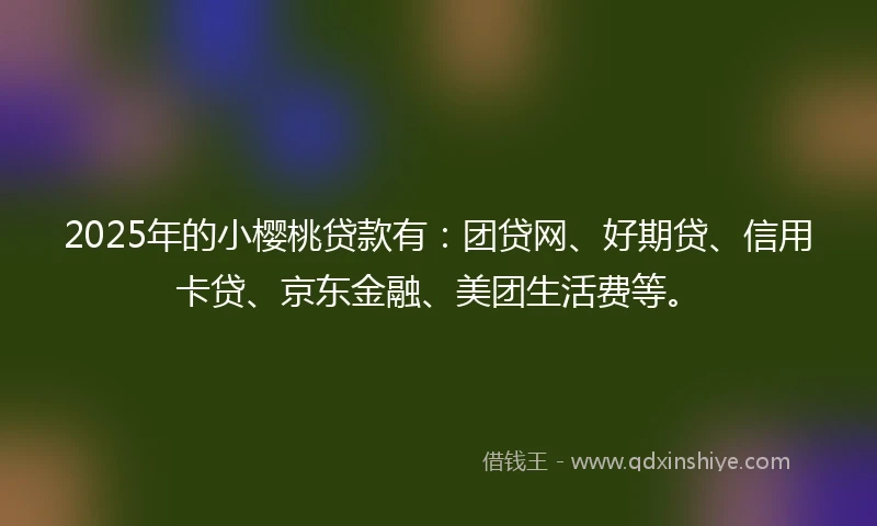 2025年的小樱桃贷款有：团贷网、好期贷、信用卡贷、京东金融、美团生活费等。