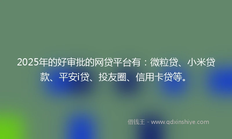 2025年的好审批的网贷平台有：微粒贷、小米贷款、平安i贷、投友圈、信用卡贷等。