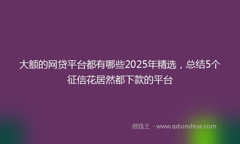 大额的网贷平台都有哪些2025年精选，总结5个征信花居然都下款的平台