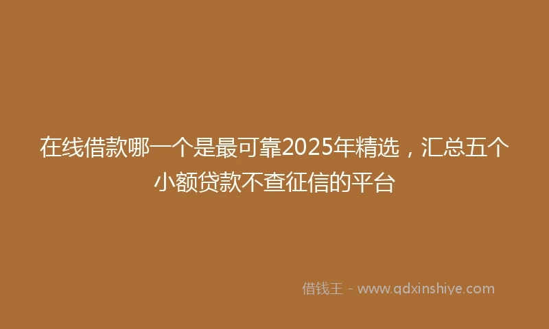 在线借款哪一个是最可靠2025年精选，汇总五个小额贷款不查征信的平台