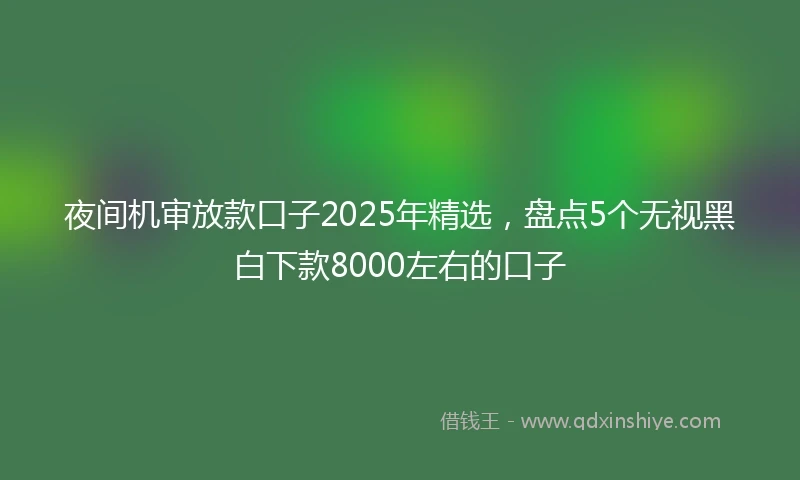 夜间机审放款口子2025年精选,盘点5个无视黑白下款8000左右的口子