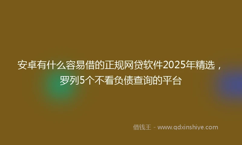 安卓有什么容易借的正规网贷软件2025年精选，罗列5个不看负债查询的平台