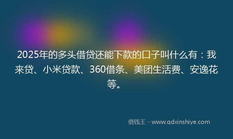 2025年的多头借贷还能下款的口子叫什么有：我来贷、小米贷款、360借条、美团生活费、安逸花等。