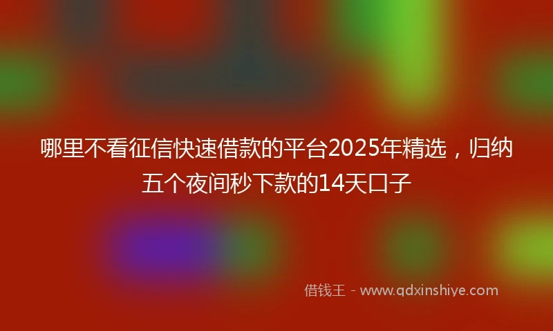 哪里不看征信快速借款的平台2025年精选，归纳五个夜间秒下款的14天口子
