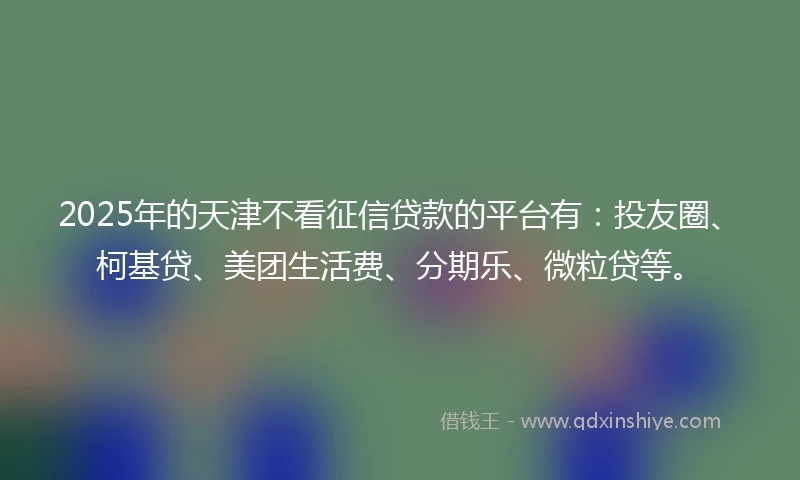 2025年的天津不看征信贷款的平台有：投友圈、柯基贷、美团生活费、分期乐、微粒贷等。