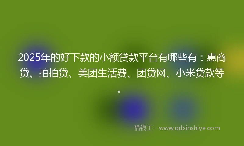 2025年的好下款的小额贷款平台有哪些有：惠商贷、拍拍贷、美团生活费、团贷网、小米贷款等。
