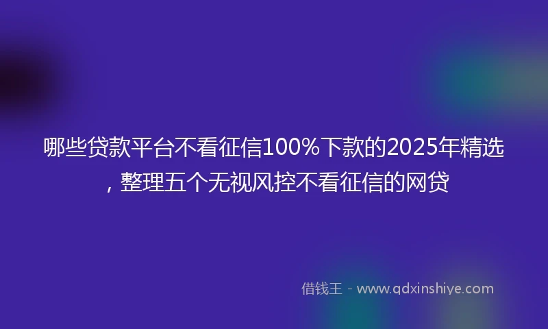 哪些贷款平台不看征信100%下款的2025年精选，整理五个无视风控不看征信的网贷