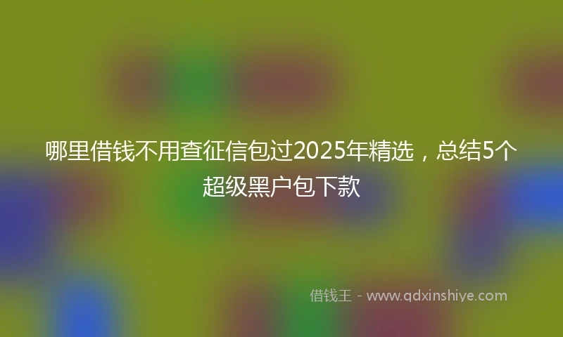 哪里借钱不用查征信包过2025年精选，总结5个超级黑户包下款