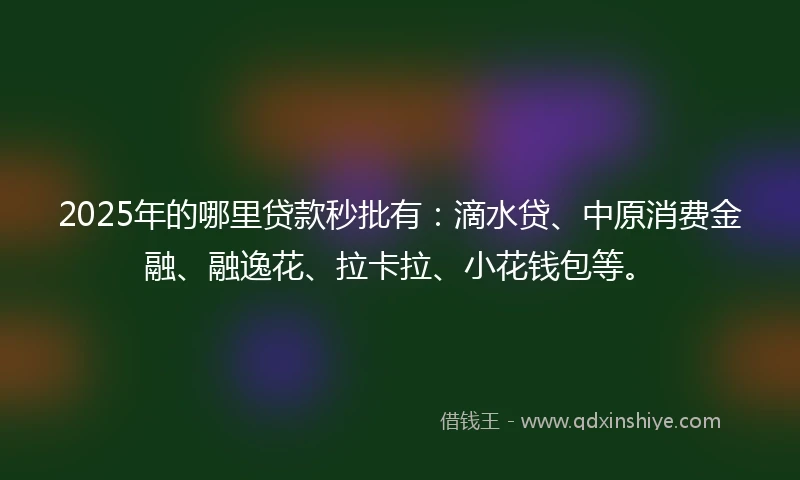 2025年的哪里贷款秒批有：滴水贷、中原消费金融、融逸花、拉卡拉、小花钱包等。