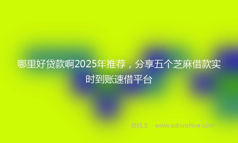 哪里好贷款啊2025年推荐，分享五个芝麻借款实时到账速借平台