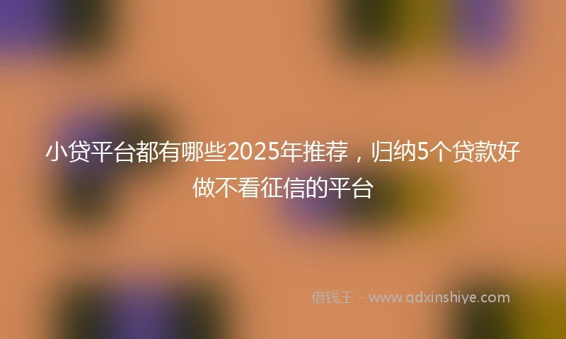 小贷平台都有哪些2025年推荐，归纳5个贷款好做不看征信的平台