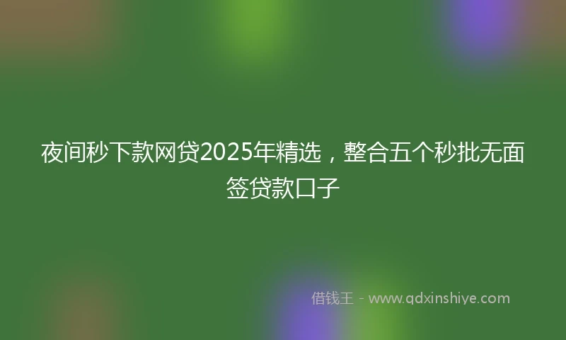 夜间秒下款网贷2025年精选，整合五个秒批无面签贷款口子