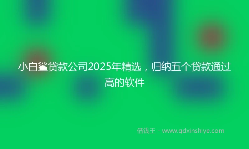 小白鲨贷款公司2025年精选，归纳五个贷款通过高的软件