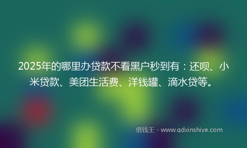 2025年的哪里办贷款不看黑户秒到有：还呗、小米贷款、美团生活费、洋钱罐、滴水贷等。