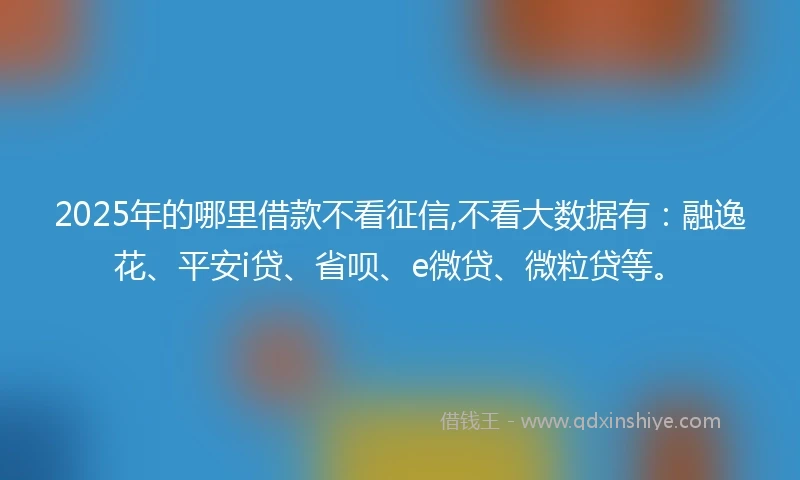 2025年的哪里借款不看征信,不看大数据有：融逸花、平安i贷、省呗、e微贷、微粒贷等。