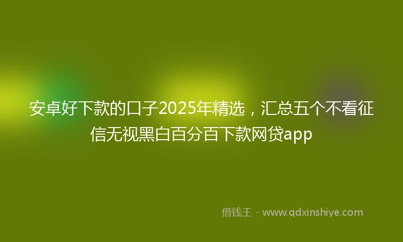 安卓好下款的口子2025年精选，汇总五个不看征信无视黑白百分百下款网贷app