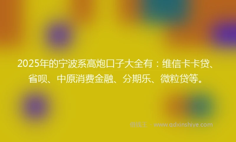 2025年的宁波系高炮口子大全有:维信卡卡贷、省呗、中原消费金融、分期乐、微粒贷等。