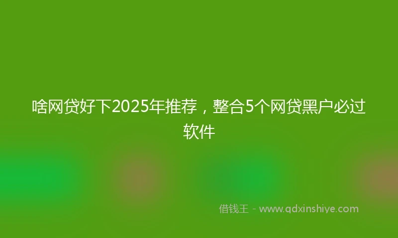 啥网贷好下2025年推荐，整合5个网贷黑户必过软件