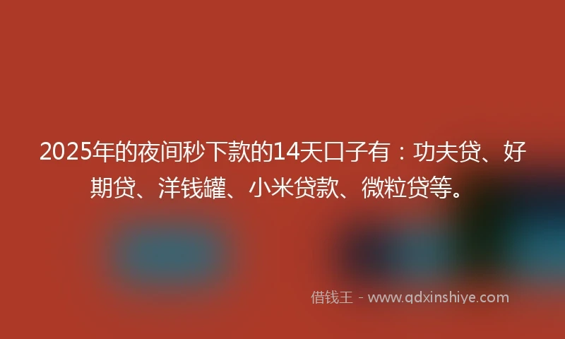 2025年的夜间秒下款的14天口子有：功夫贷、好期贷、洋钱罐、小米贷款、微粒贷等。