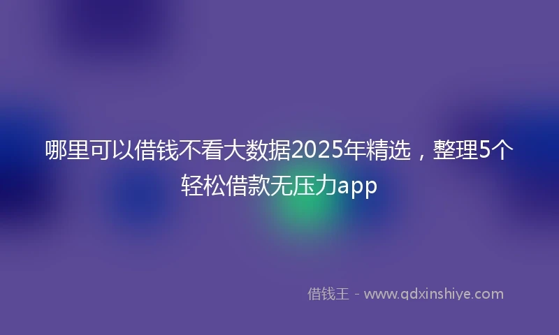 哪里可以借钱不看大数据2025年精选，整理5个轻松借款无压力app