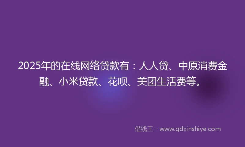 2025年的在线网络贷款有：人人贷、中原消费金融、小米贷款、花呗、美团生活费等。