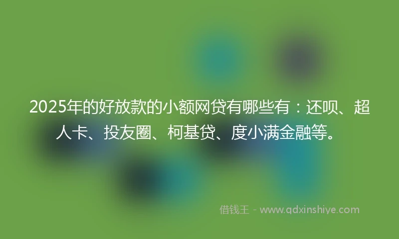 2025年的好放款的小额网贷有哪些有：还呗、超人卡、投友圈、柯基贷、度小满金融等。