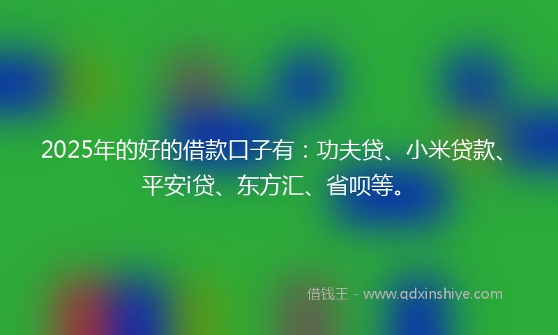 2025年的好的借款口子有：功夫贷、小米贷款、平安i贷、东方汇、省呗等。
