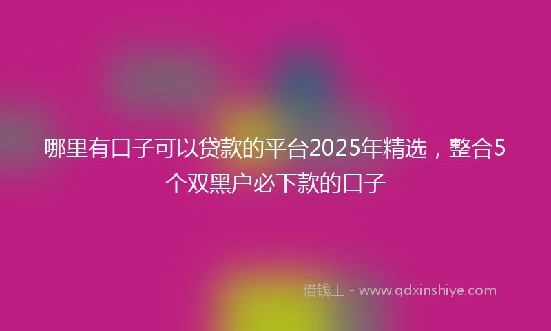哪里有口子可以贷款的平台2025年精选，整合5个双黑户必下款的口子