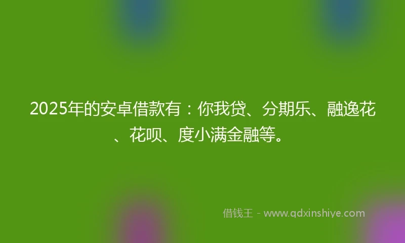 2025年的安卓借款有：你我贷、分期乐、融逸花、花呗、度小满金融等。