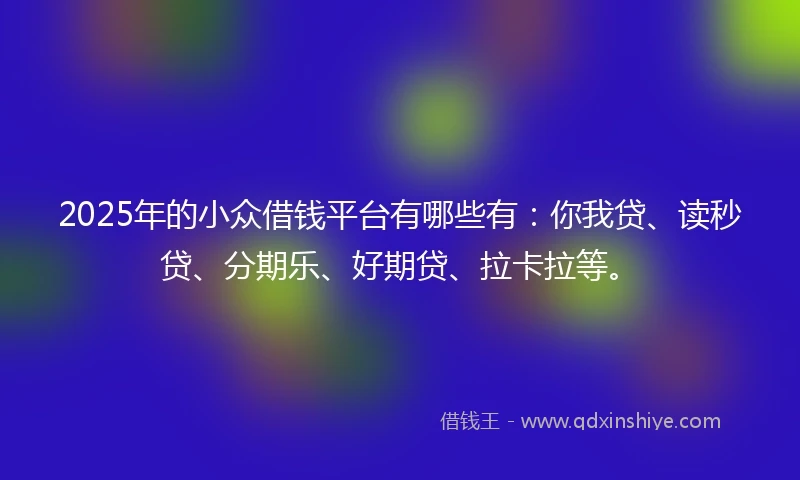 2025年的小众借钱平台有哪些有：你我贷、读秒贷、分期乐、好期贷、拉卡拉等。