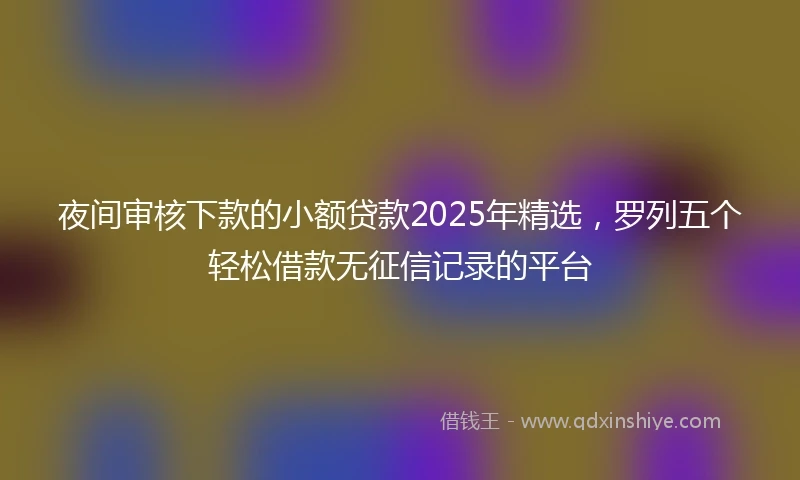 夜间审核下款的小额贷款2025年精选，罗列五个轻松借款无征信记录的平台