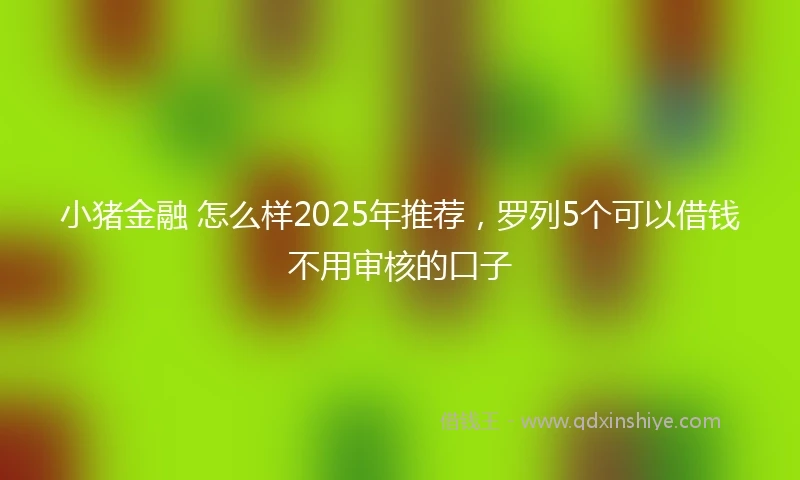 小猪金融 怎么样2025年推荐，罗列5个可以借钱不用审核的口子