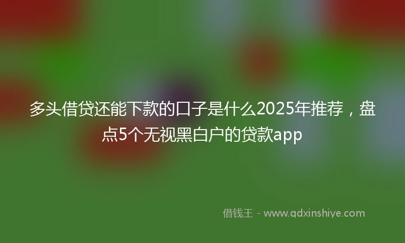 多头借贷还能下款的口子是什么2025年推荐，盘点5个无视黑白户的贷款app