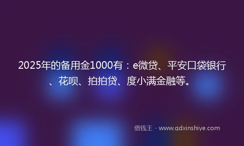 2025年的备用金1000有：e微贷、平安口袋银行、花呗、拍拍贷、度小满金融等。