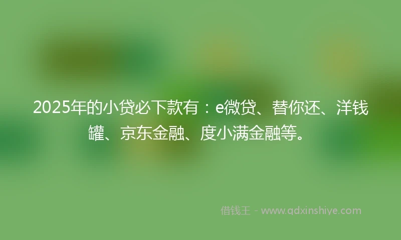 2025年的小贷必下款有：e微贷、替你还、洋钱罐、京东金融、度小满金融等。