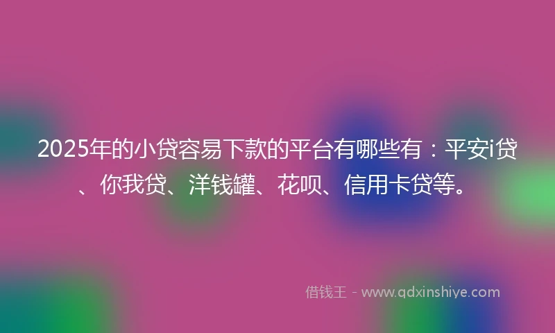 2025年的小贷容易下款的平台有哪些有：平安i贷、你我贷、洋钱罐、花呗、信用卡贷等。
