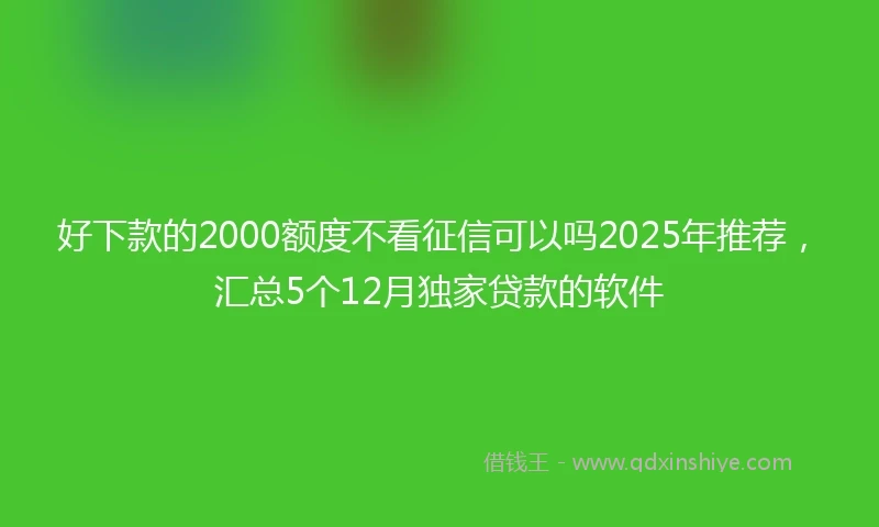 好下款的2000额度不看征信可以吗2025年推荐，汇总5个12月独家贷款的软件