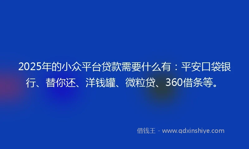 2025年的小众平台贷款需要什么有：平安口袋银行、替你还、洋钱罐、微粒贷、360借条等。