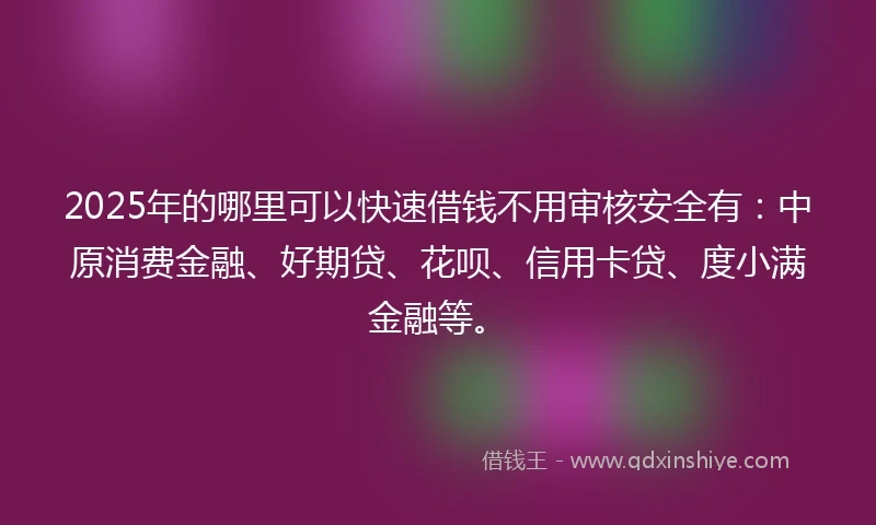 2025年的哪里可以快速借钱不用审核安全有：中原消费金融、好期贷、花呗、信用卡贷、度小满金融等。