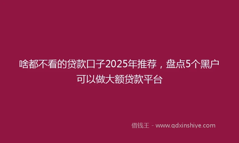 啥都不看的贷款口子2025年推荐，盘点5个黑户可以做大额贷款平台