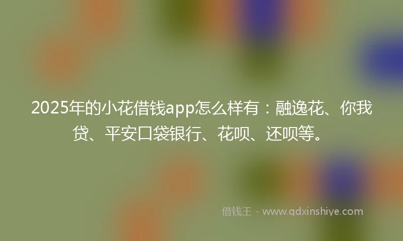 2025年的小花借钱app怎么样有：融逸花、你我贷、平安口袋银行、花呗、还呗等。