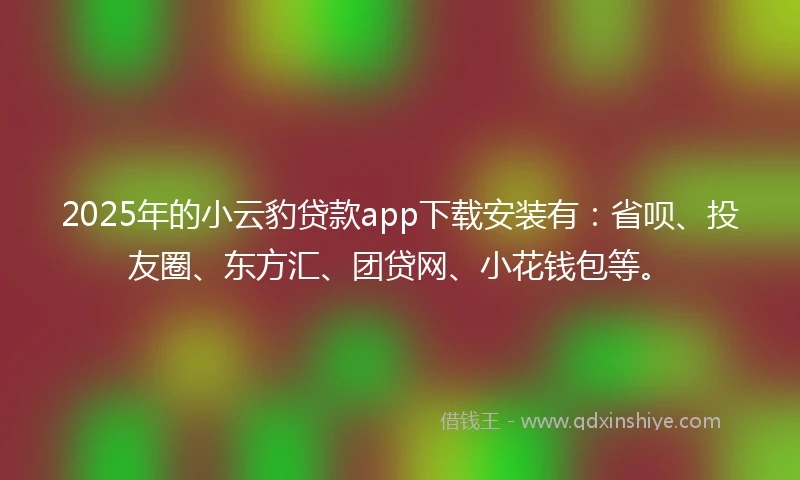 2025年的小云豹贷款app下载安装有：省呗、投友圈、东方汇、团贷网、小花钱包等。