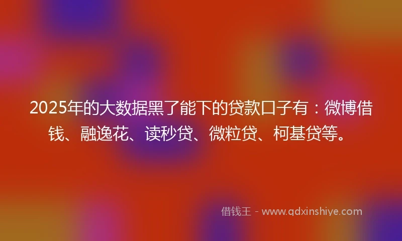2025年的大数据黑了能下的贷款口子有：微博借钱、融逸花、读秒贷、微粒贷、柯基贷等。