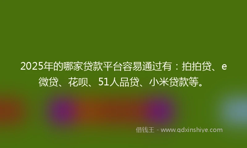 2025年的哪家贷款平台容易通过有：拍拍贷、e微贷、花呗、51人品贷、小米贷款等。