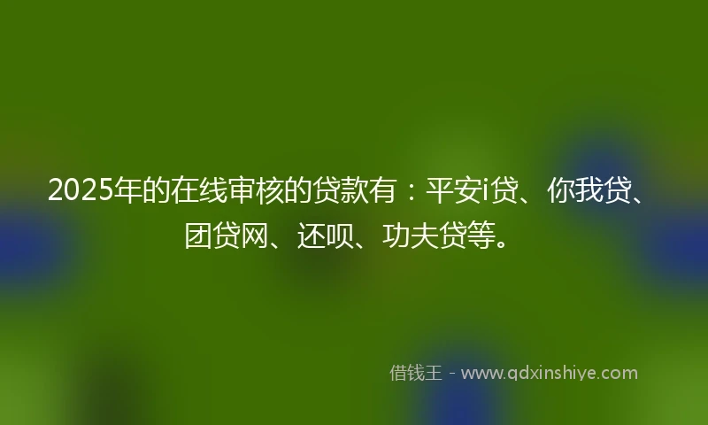 2025年的在线审核的贷款有：平安i贷、你我贷、团贷网、还呗、功夫贷等。