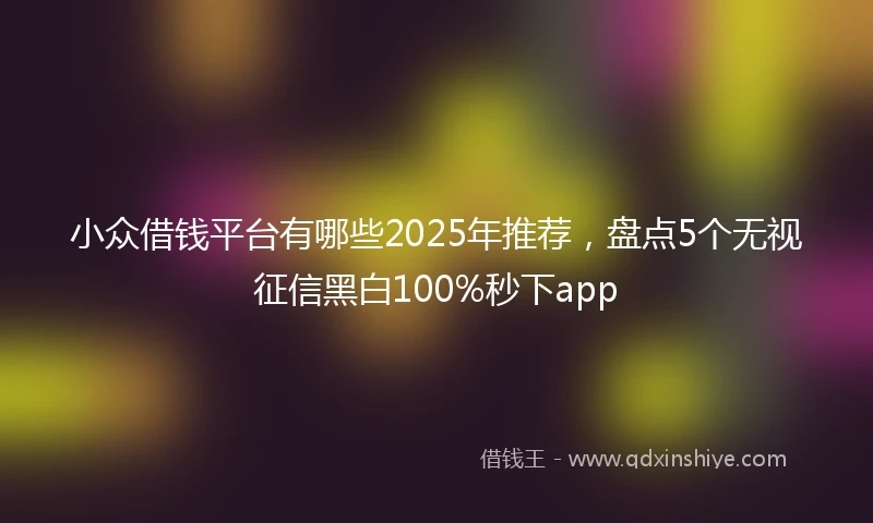 小众借钱平台有哪些2025年推荐，盘点5个无视征信黑白100%秒下app