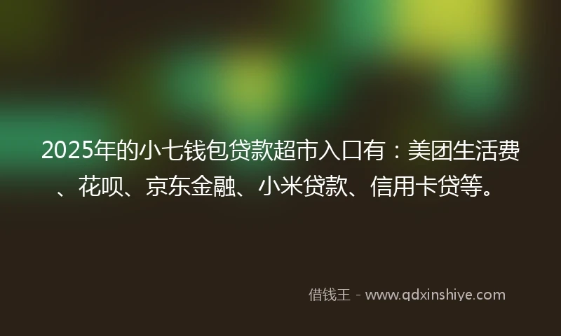 2025年的小七钱包贷款超市入口有：美团生活费、花呗、京东金融、小米贷款、信用卡贷等。