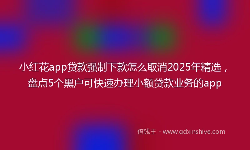 小红花app贷款强制下款怎么取消2025年精选，盘点5个黑户可快速办理小额贷款业务的app
